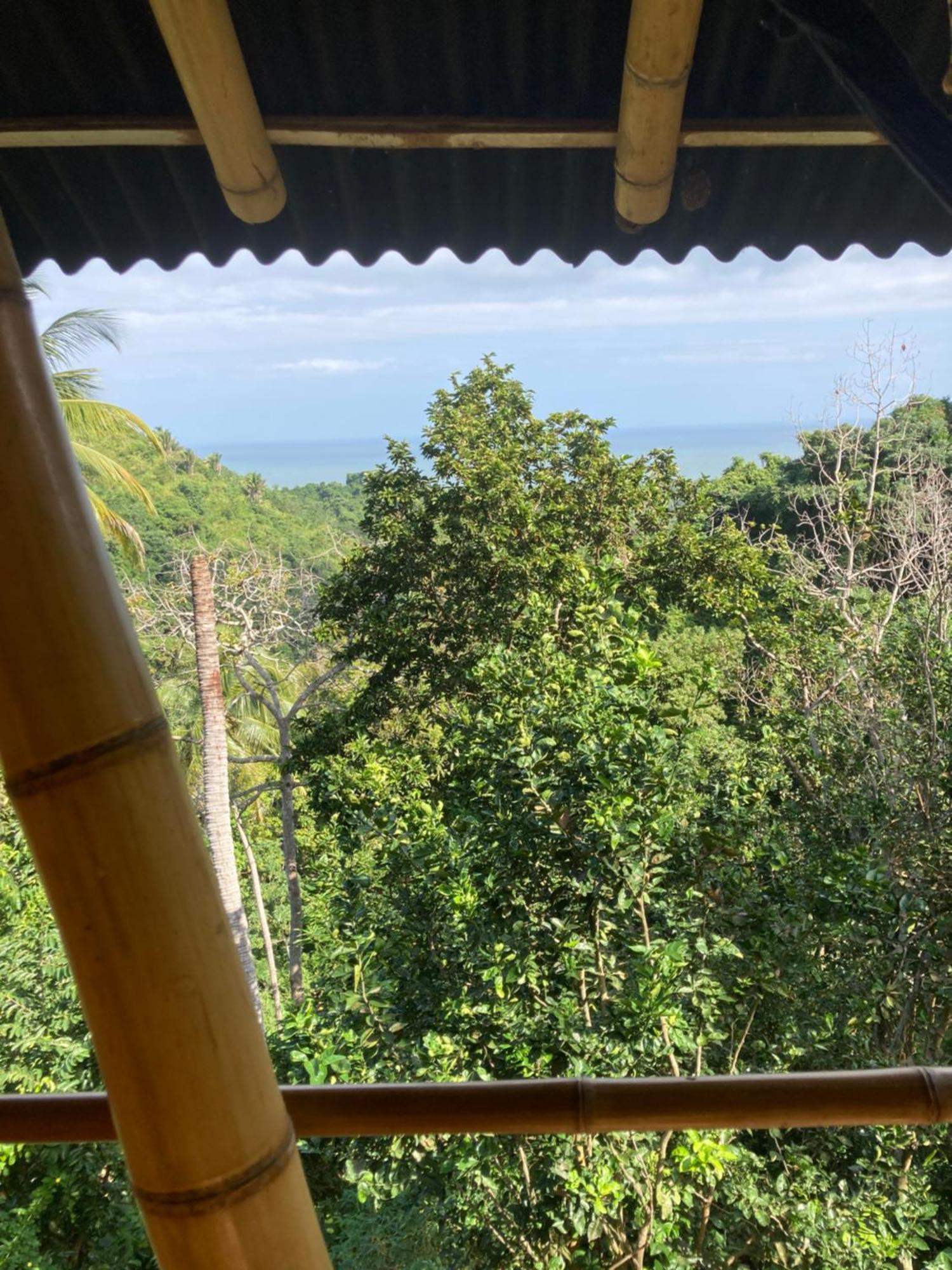 Finca La Selvita Chocolate Experience Буритака Экстерьер фото