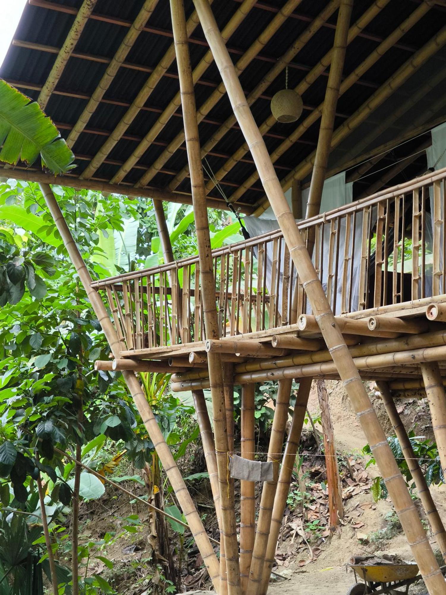 Finca La Selvita Chocolate Experience Буритака Экстерьер фото